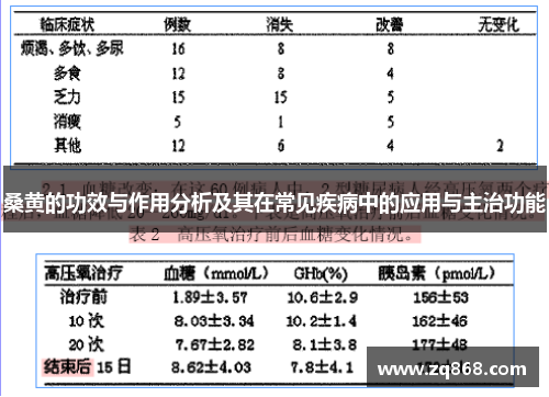 桑黄的功效与作用分析及其在常见疾病中的应用与主治功能 桑黄的功效与作用分析及其在常见疾病中的应用与主治功能