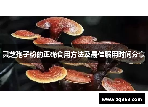灵芝孢子粉的正确食用方法及最佳服用时间分享 灵芝孢子粉的正确食用方法及最佳服用时间分享